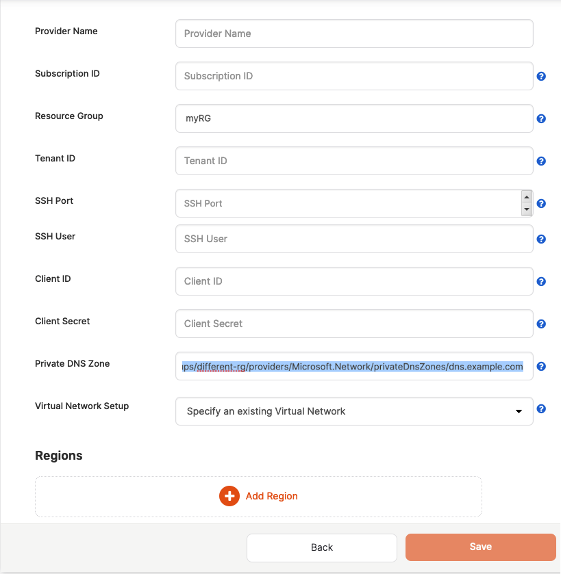 Azure Private DNS override